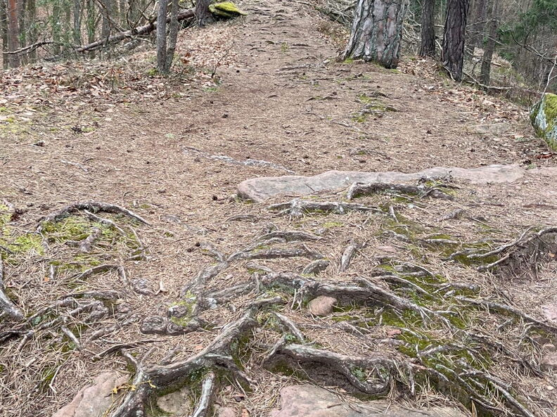 23-03-05 10-54-56 4740